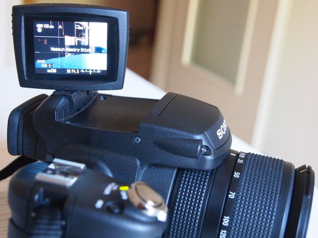 P9221878.JPG