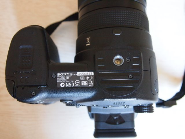 P9221879.JPG