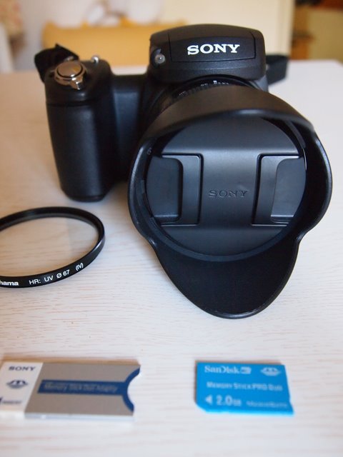 P9221882.JPG