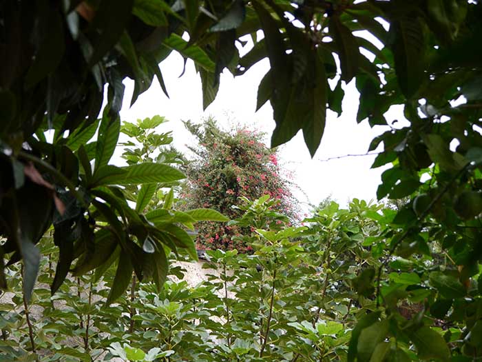 p9.jpg