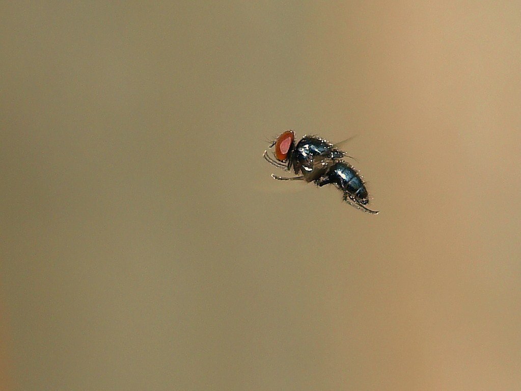 PA041009+.jpg