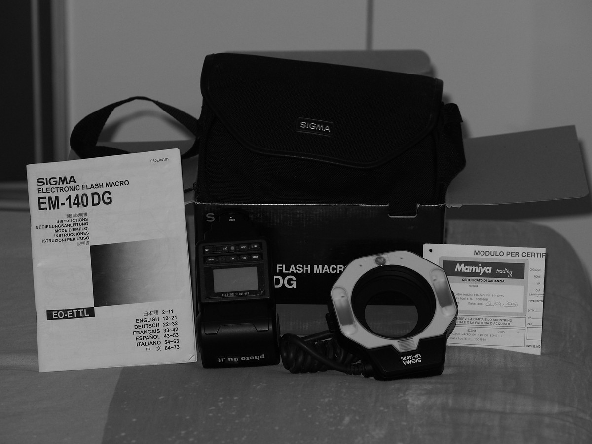 PA041129.jpg