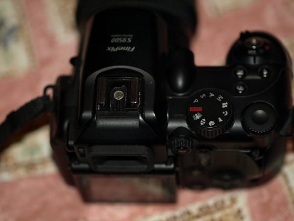 PA204055.jpg