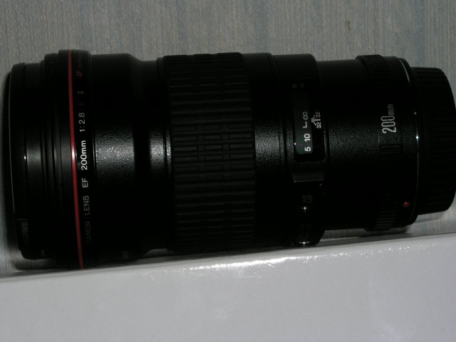 PA210003.JPG