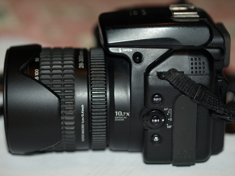 PA294728 (800 x 600).jpg