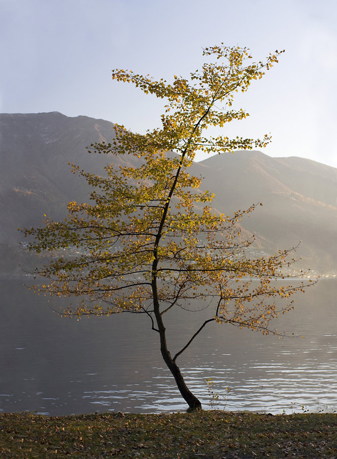 pace-d'autunno.jpg