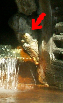 padrePio.jpg