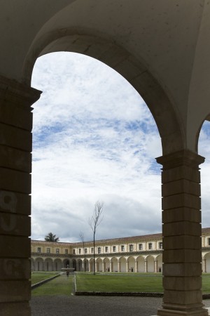 Padula19_CG-color.jpg