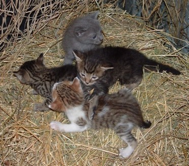 padule 22-09-04 1321~3.jpg