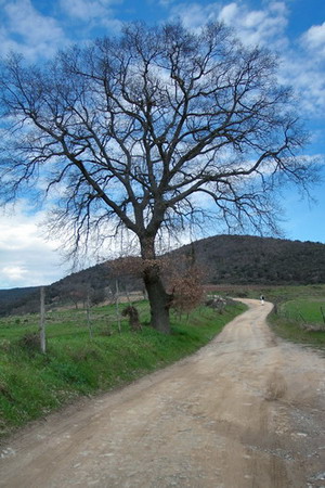 Paesaggi005a.jpg