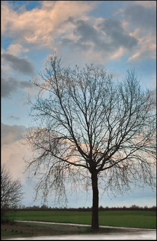 Paesaggi015a.jpg
