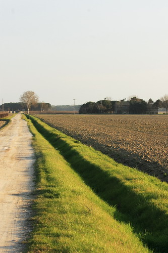 Paesaggi063.jpg