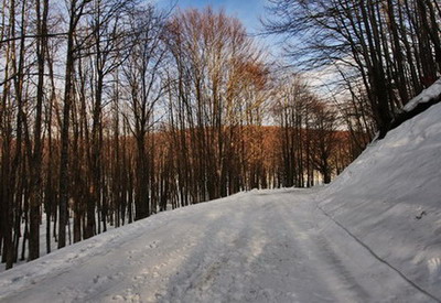 Paesaggi083a.jpg