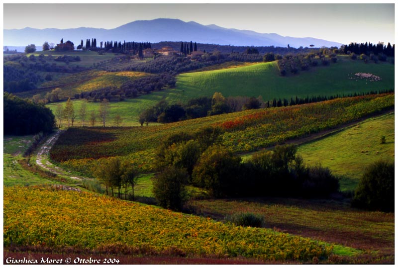 Paesaggio-Corliano.jpg