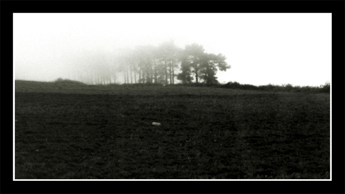 paesaggio-incantato.jpg