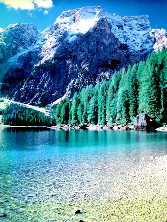 Paesaggio-innevato.1.jpg