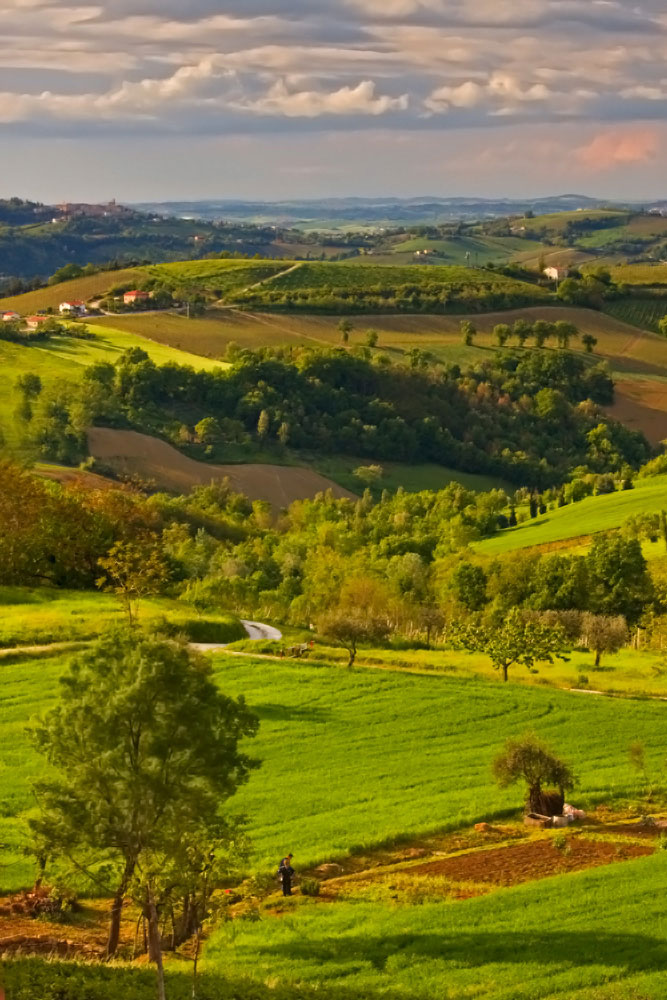 paesaggio-piccola-orig.jpg