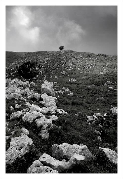 paesaggio01.jpg