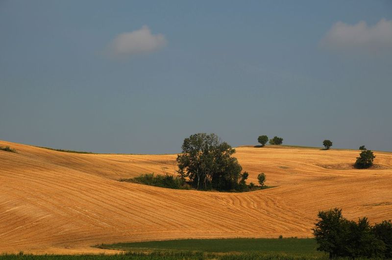 paesaggio22.jpg