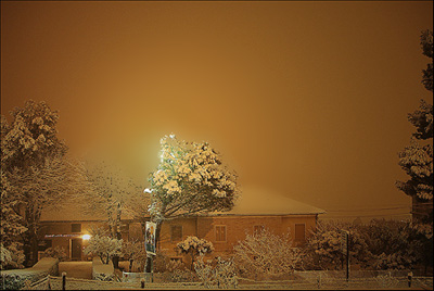 paesaggio.jpg