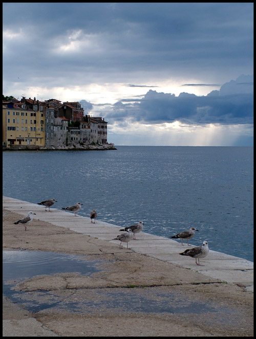 paesaggio.jpg