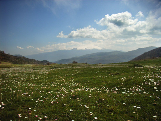 paesaggio.jpg