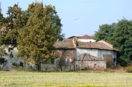 paesaggio con macchia.JPG