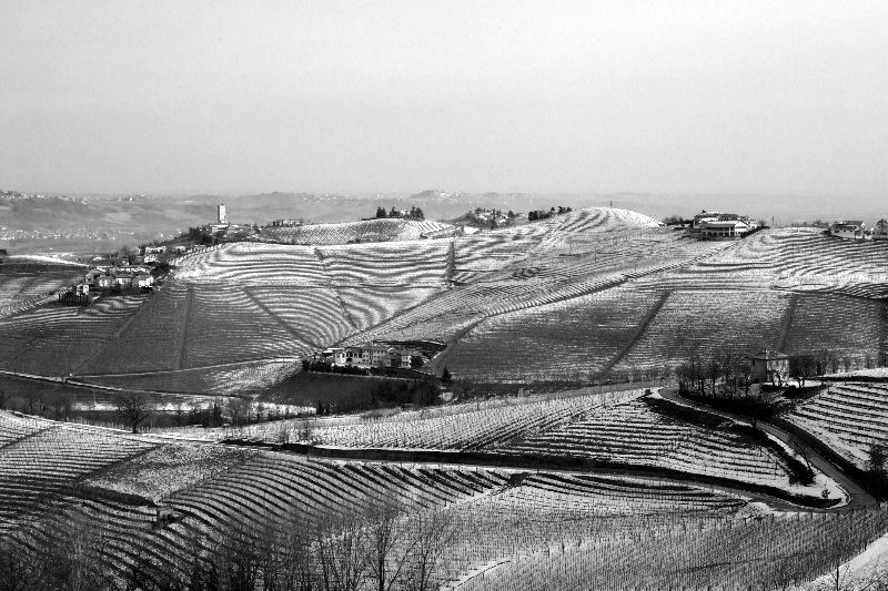 Paesaggio in BN.jpg
