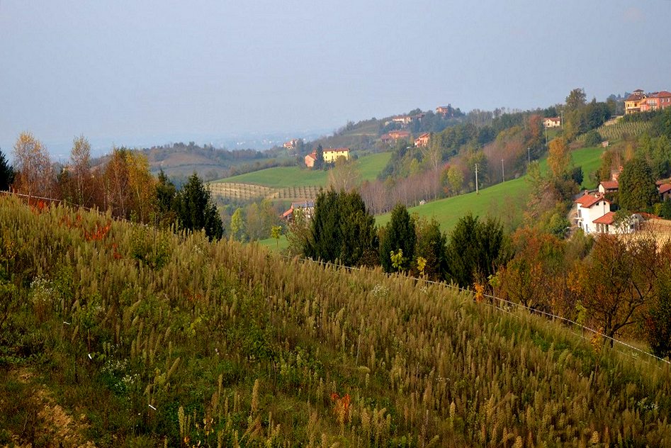 paesaggio monregalesemod.jpg