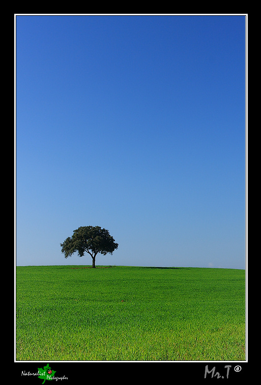 Paesaggio semplice semplice_c2.jpg