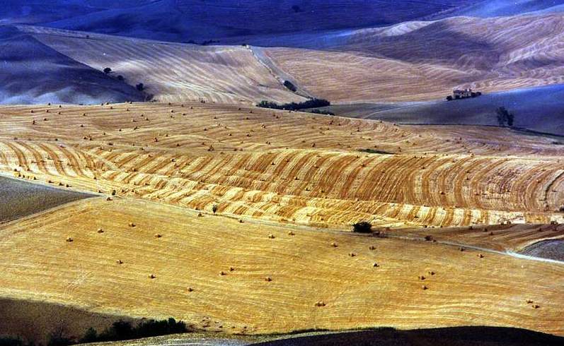Paesaggio toscano.-.JPG