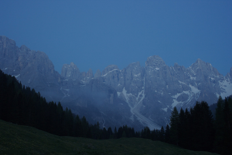 pale-di-S.Martino.jpg