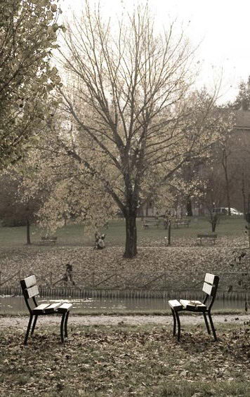 panchine-2.jpg