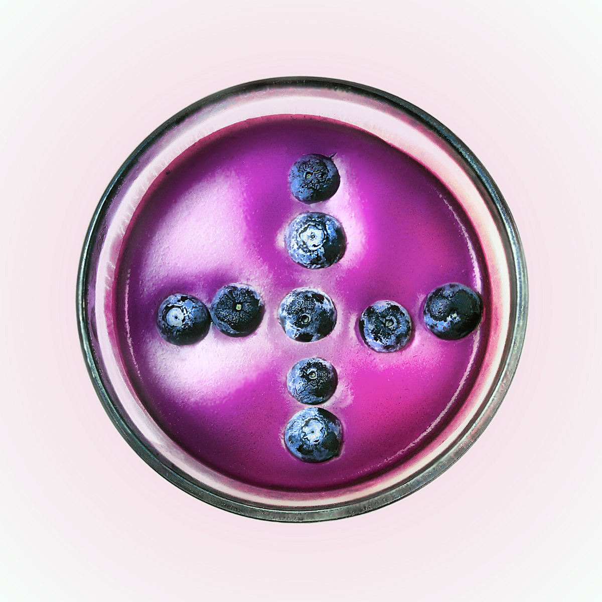 panna cotta ai mirtilli ph4u copia.jpg