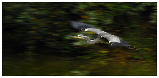 panning-cen02.jpg