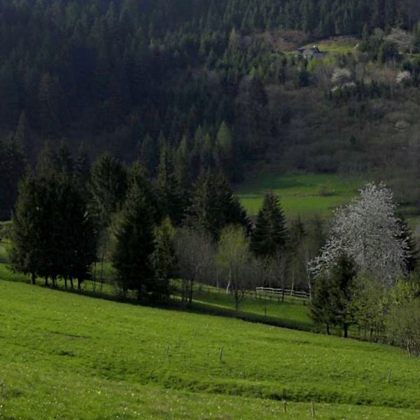 pano022-staccionata.jpg