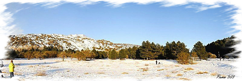 pano_1_127[1].jpg