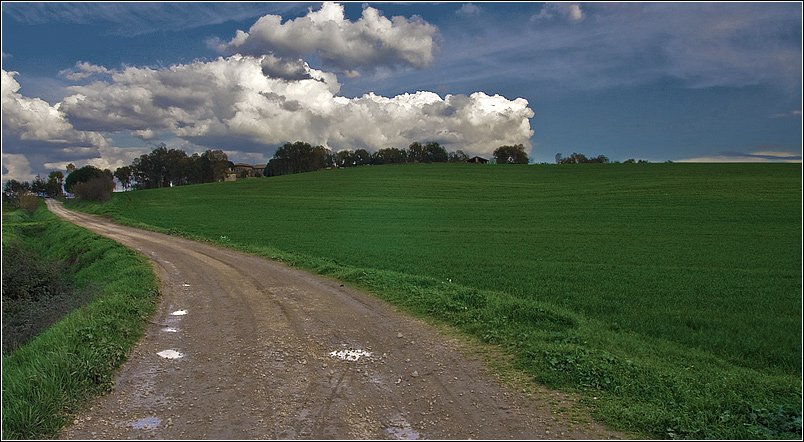 pano.jpg