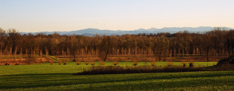 pano.jpg
