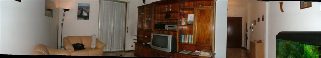 pano (Large).jpg