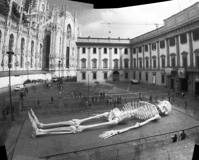 pano_scheletro-tagliata_piccola_bn2.jpg