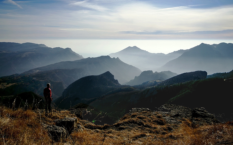 panorama.jpg