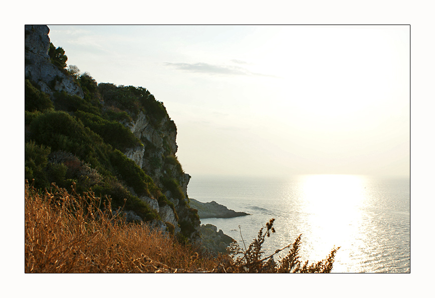 Panorama.jpg