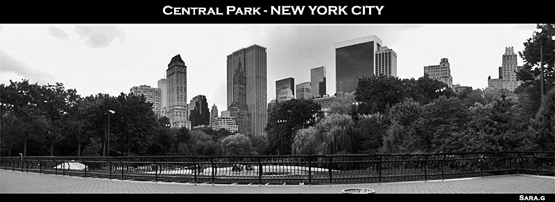 panorama_centralpark3.jpg