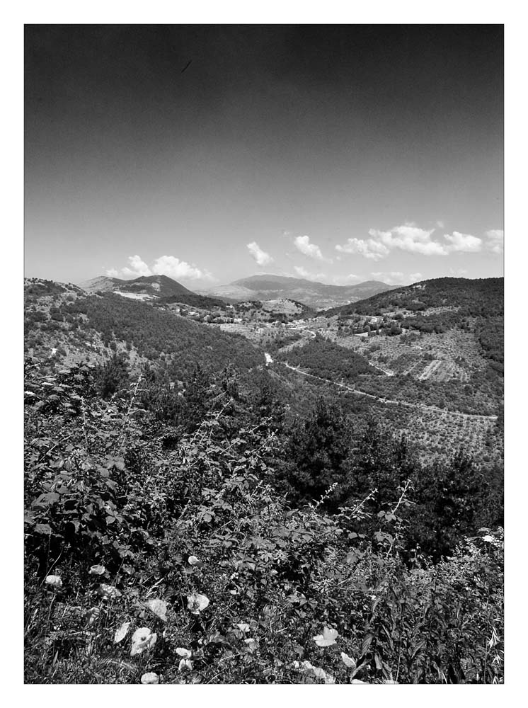 panorama small.jpg