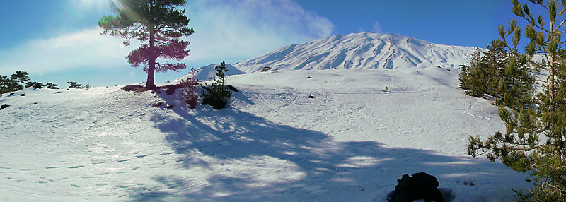 Panorama_web.jpg