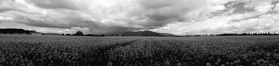 panoramabn.jpg