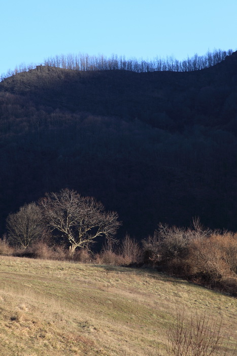 Panorami018a.jpg