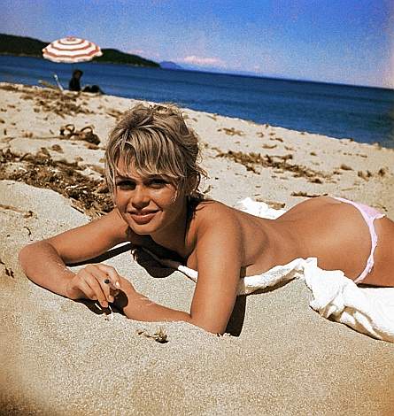 paparazzi09_brigitte-bardot.jpg