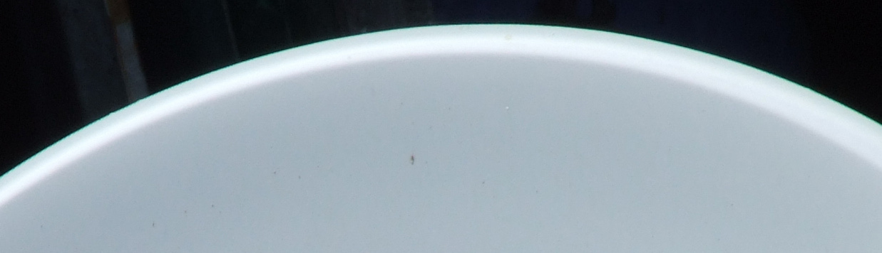 parabola-crop.jpg